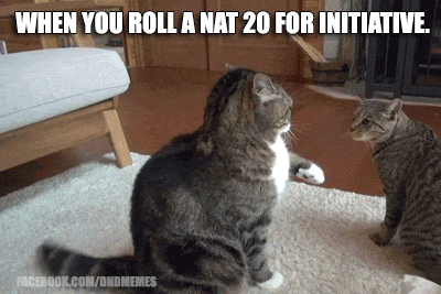 gif-dnd-initiative-cats.gif